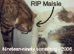 RIP Maisie